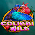 Colibri Wild