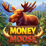 Money Moose