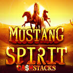 Mustang Spirit Cash Stacks