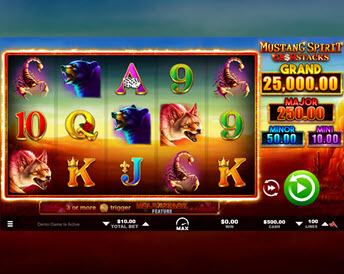 Mustang Spirit Cash Stacks