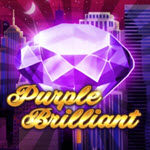 Purple Brilliant