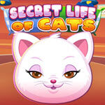 Secret Life of Cats