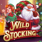 Wild Stocking