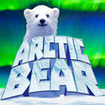 Arctic Bear