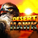 Desert Hawk
