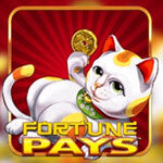 Fortune Pays