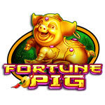 Fortune Pig