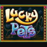 Lucky Pets
