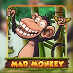Mad Monkey