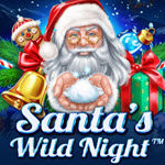 Santa's Wild Night