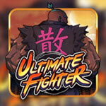 Ultimate Fighter