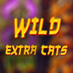Wild Extra Cats