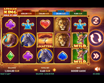 African King Hold'n'Link