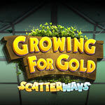 Growing for Gold