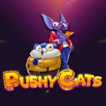 Pushy Cats