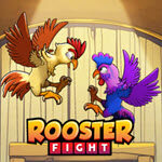 Rooster Fight