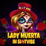 Slotvibe Muerta
