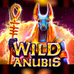 Wild Anubis