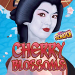 Cherry Blossoms Scratch