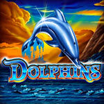 Dolphins (Ainsworth)