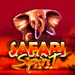Safari Spirit