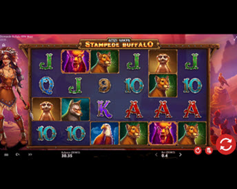Stampede Buffalo