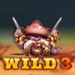The Wild 3