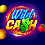 Wild Cash (BGAMING)