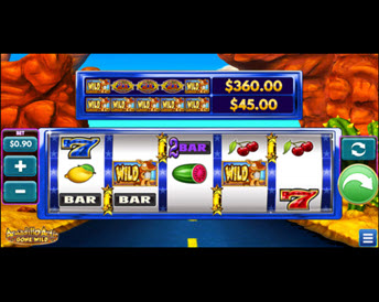 Armadillo Artie Gone Wild