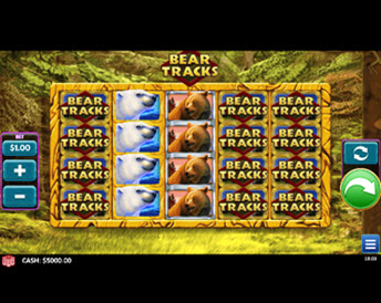 Bear Tracks (DWG)