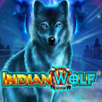 Indian Wolf