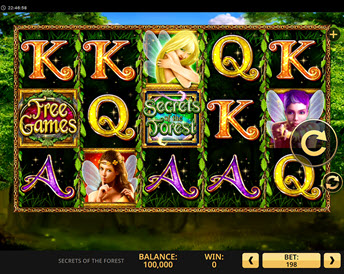 Secrets of the Forest