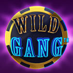 Wild Gang