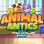 Animal Antics
