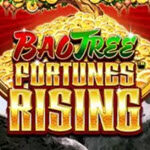 Bao Tree Fortunes Rising
