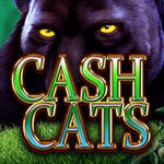 Cash Cats