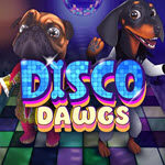 Disco Dawgs