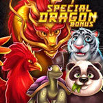 Special Dragon Bonus