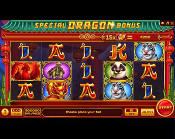 Special Dragon Bonus