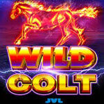 Wild Colt