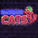Blackjack Cat