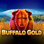 Buffalo Gold