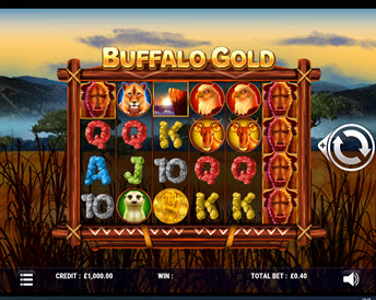 Buffalo Gold