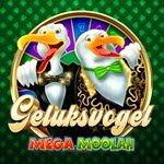 Geluksvogel Mega Moolah