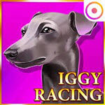 Iggy Racing