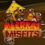 Meerkat Misfits