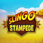 Slingo Stampede