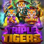 Triple Tigers (RTG)