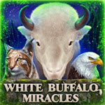 White Buffalo Miracles