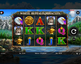 White Buffalo Miracles